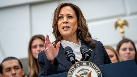 FILE PHOTO: US Vice President Kamala Harris speaks during an NCAA championship teams celebration on the South Lawn of the White House on July 22, 2024 in Washington, DC.