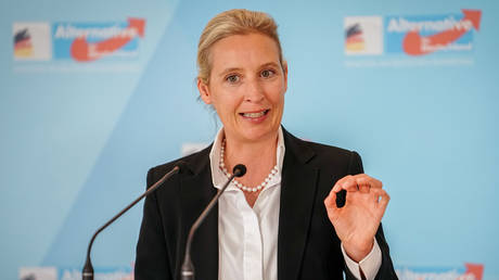 MP Alice Weidel at a press conference, Berlin, 25 June, 2024