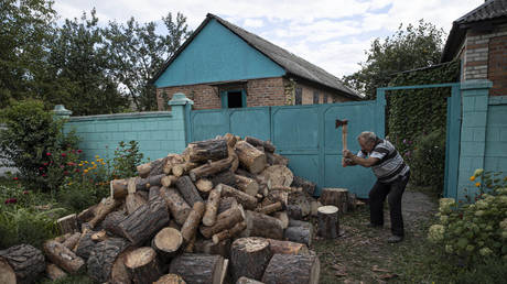 FILE PHOTO. Ukrainian man preparing firewood for winter