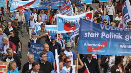 FILE PHOTO: Supporters of the far-right Alternative for Germany (AfD) party march in Hamburg, Germany.