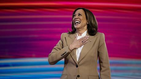 FILE PHOTO: US Vice President Kamala Harris at the Democratic National Convention in Chicago.