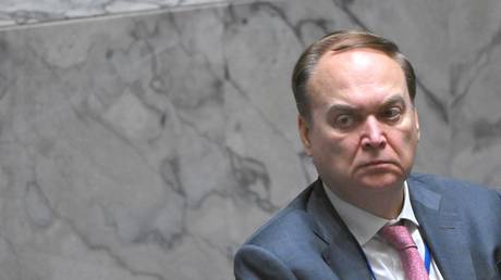 FILE PHOTO: Russian Ambassador to the United States Anatoly Antonov