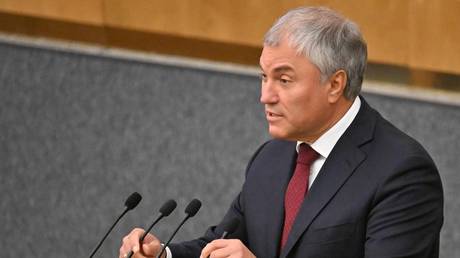 FILE PHOTO: Russian State Duma Chairman Vyacheslav Volodin.