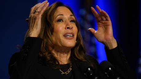 FILE PHOTO: US Vice President and Democratic presidential candidate Kamala Harris