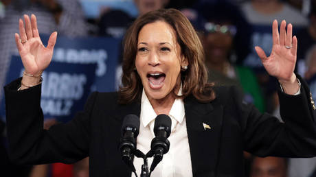 Kamala Harris speaks during a campaign rally in Greenville, North Carolina, October 13, 2024