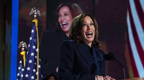 Vice President Kamala Harris at the Democratic National Convention in Chicago on August 21, 2024