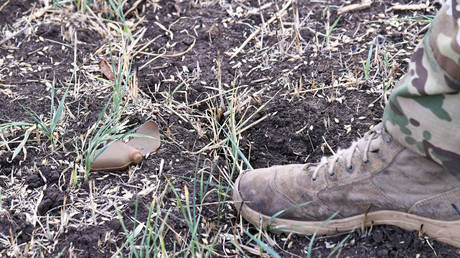 A PFM-1 anti-personnel land mine is seen in a field, near the town of Artyomovsk (known as Bakhmut in Ukraine), Donetsk People's Republic