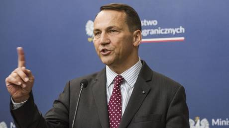 FILE PHOTO: Polish Foreign Minister Radoslaw Sikorski.