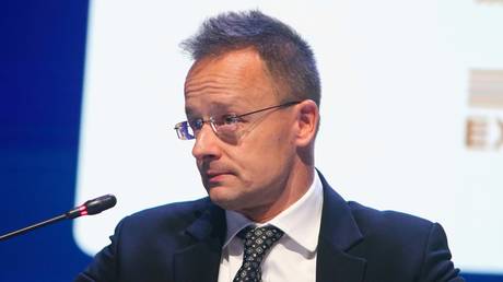 FILE PHOTO: Hungarian Foreign Minister Peter Szijjarto.