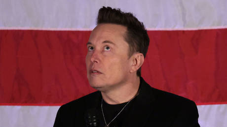 Elon Musk speaks during a town hall for Donald Trump in Oaks, Pennsylvania,  October 18, 2024