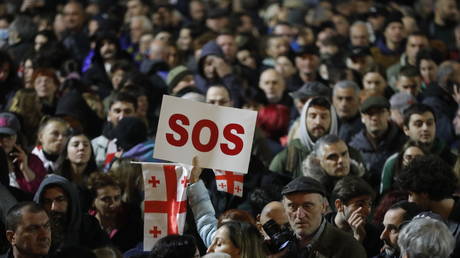 People attend an opposition rally in Tbilisi, Georgia, October 28, 2024.