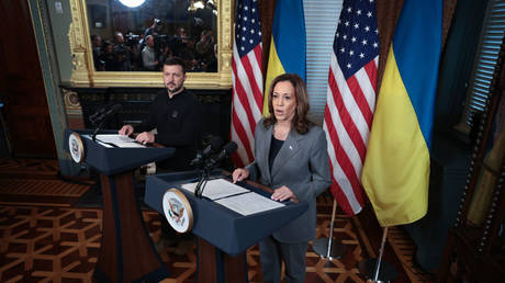 Vice President Harris meets with Vladimir Zelensky at the White House