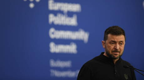 Vladimir Zelensky holds a press conference after the 5th European Political Community Summit in Budapest, Hungary, on November 7, 2024