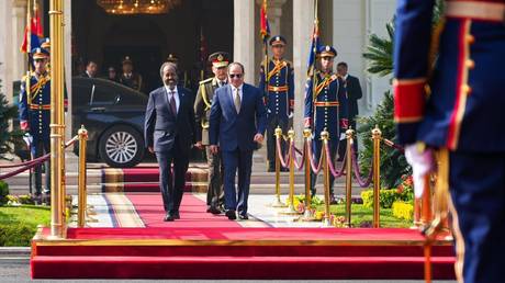 FILE PHOTO. Egyptian President Abdel Fattah el-Sisi (R) welcomes Somalian President Hassan Sheikh Mohamud (L) during an official ceremony in Cairo, Egypt on January 21, 2024.