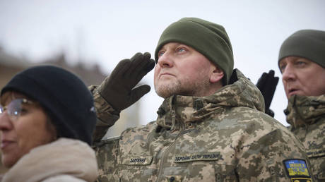 FILE PHOTO: Ukrainian General Valery Zaluzhny