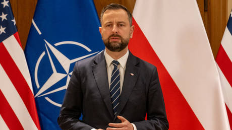 Polish Defense Minister Wladyslaw Kosiniak-Kamysz at a press conference in Warsaw, November 6, 2024.