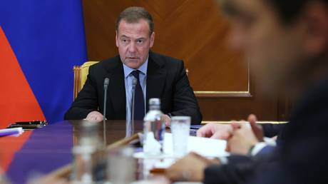 Deputy Chairman of the Russian Security Council Dmitry Medvedev.