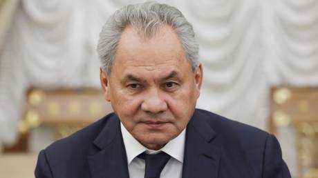 FILE PHOTO: Secretary of the Russian Security Council Sergey Shoigu.