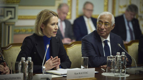 The new EU Foreign Minister Kaja Kallas looks on during an expanded bilateral meeting with Vladimir Zelensky, at the Mariinskyi Palace, December 1, 2024 in Kyiv, Ukraine.