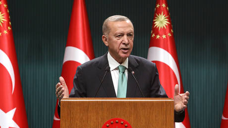 FILE PHOTO: Turkish President Recep Tayyip Erdogan.