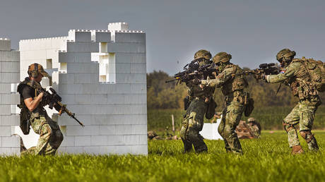 FILE PHOTO: Dutch troops taking part in a performance show.