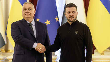 FILE PHOTO: Hungarian Prime Minister Viktor Orban shaking hands with Ukrainian leader Vladimir Zelensky during his visit to Kiev.