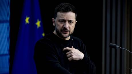 FILE PHOTO: Ukrainian leader Vladimir Zelensky during a press conference in Brussels on December 19, 2024.