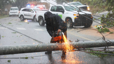 A worker cuts an electricity pole that was downed by Hurricane Fiona.