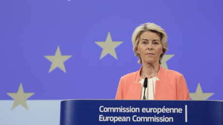 FILE PHOTO: President of the European Commission Ursula von der Leyen.