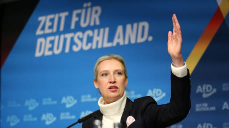 Alice Weidel speaks to reporters at an AfD convention in Berlin, Germany, December 7, 2024