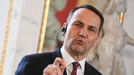 Radoslaw Sikorski delivers a press statement in Warsaw, Poland, November 19, 2024