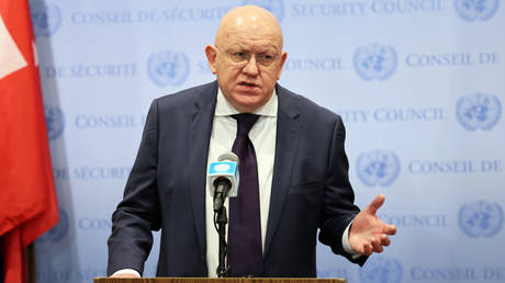 FILE PHOTO: Vasily Nebenzya.