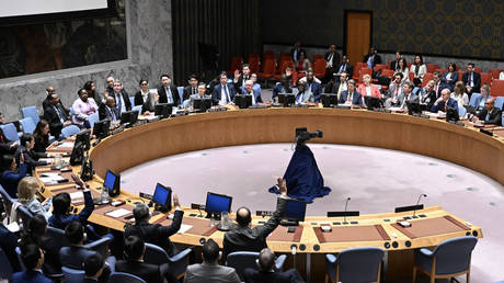 The UN Security Council, New York, May 20, 2024.