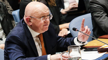 FILE PHOTO: Russian Ambassador to the UN Vassily Nebenzia.