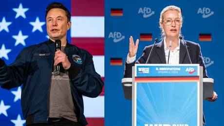 A collage of tech entrepreneur Elon Musk and Alternative for Germany co-chair Alice Weidel